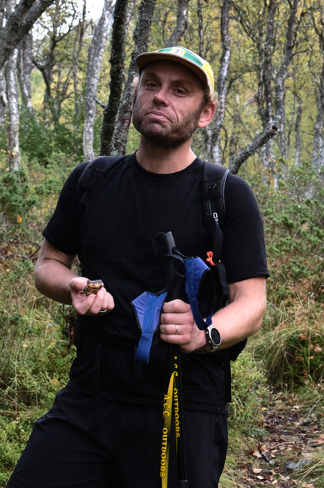 Frode